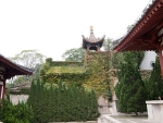 huaqing-5868