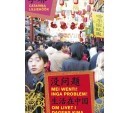 mei-wenti